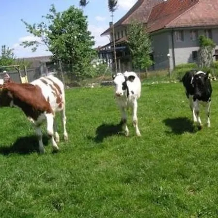 Lägenhet Stoeckli - Hof Zur Linde - Ferien Auf Dem Land - Ferien Auf Dem Bauernhof Attiswil